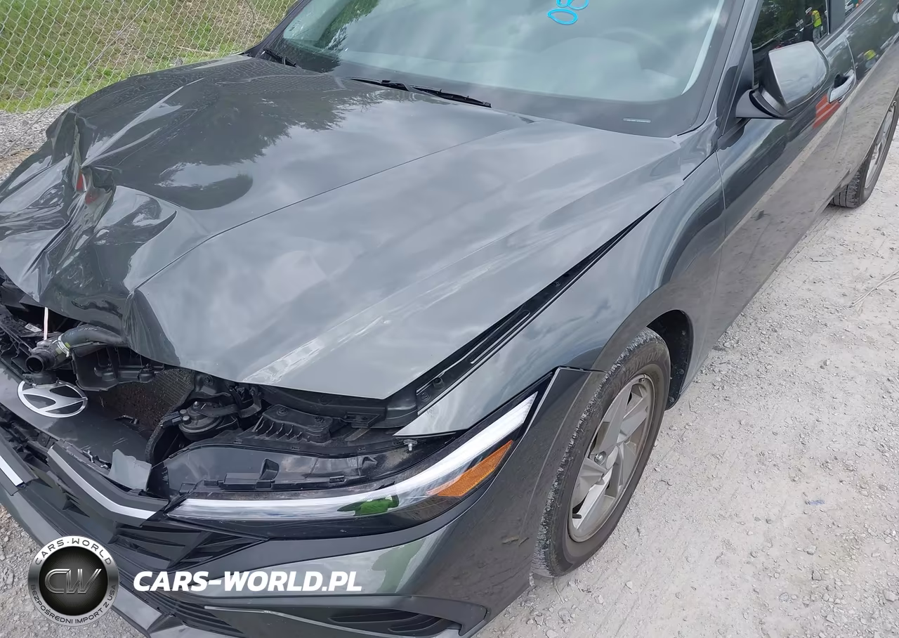 2024 Hyundai Elantra Se VIN:KMHLL4DG5RU659440 - 17