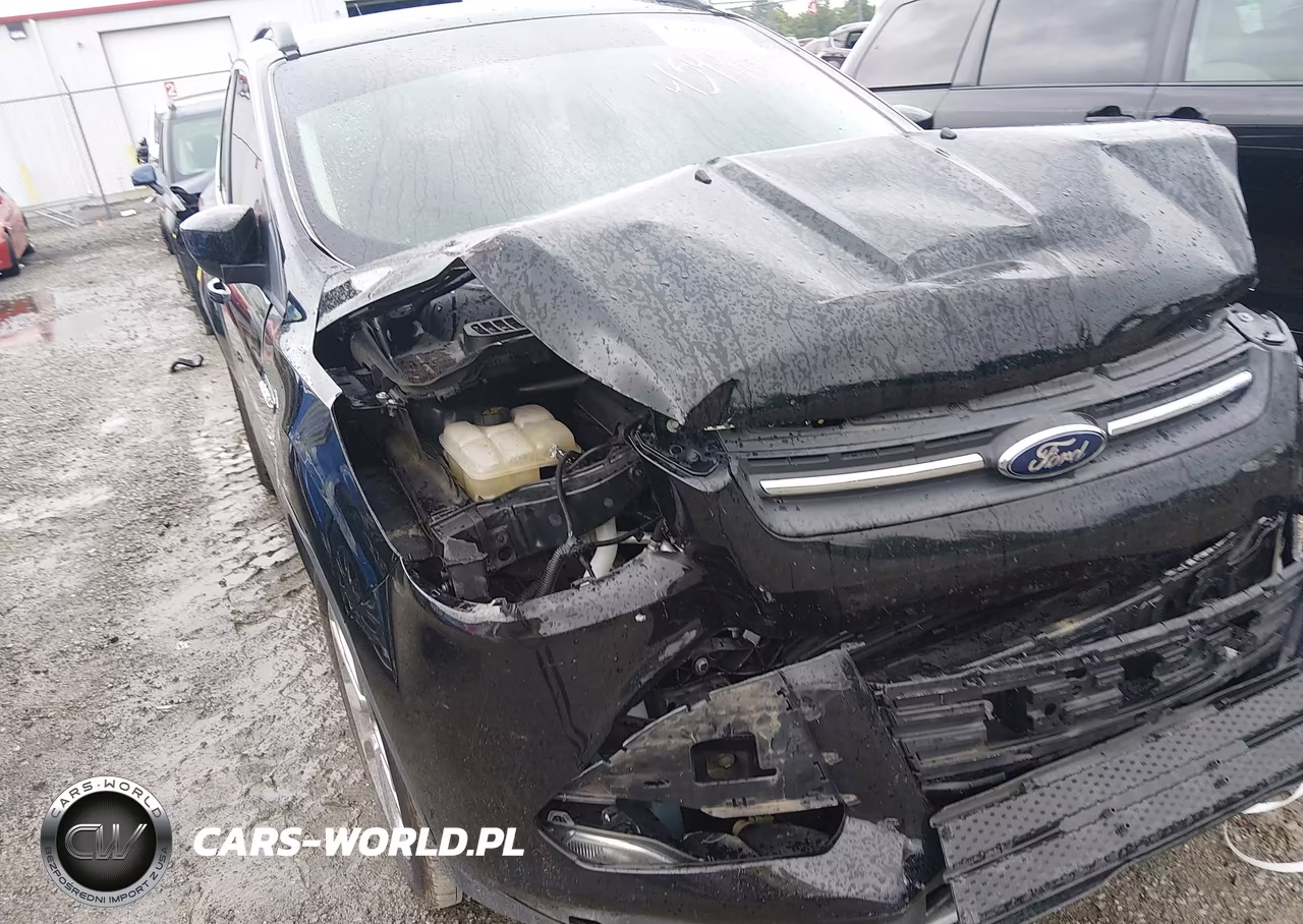 2016 Ford Escape Se VIN:1FMCU0GX7GUB95517 - 14