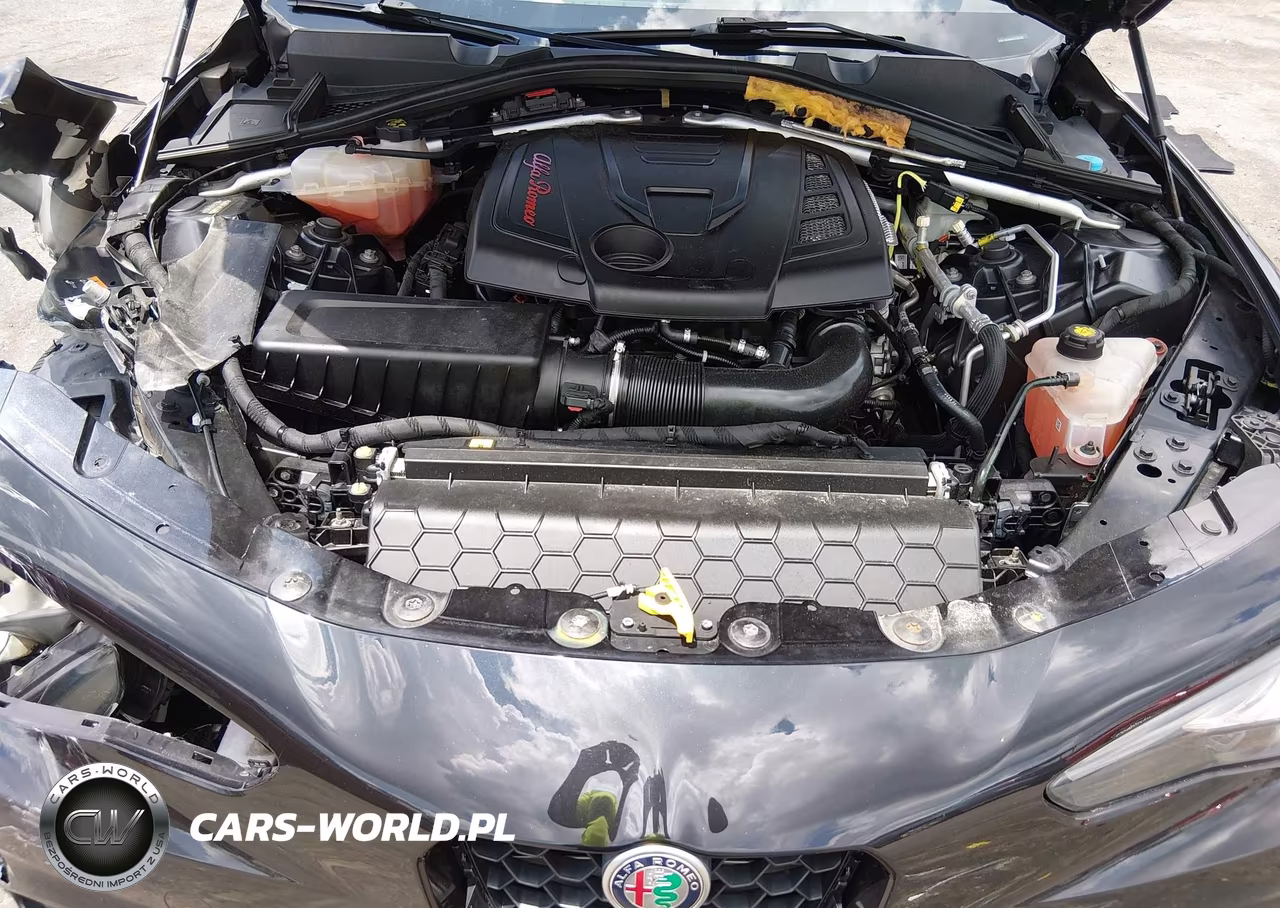 2017 Alfa Romeo Giulia Rwd VIN:ZARFAEBNXH7532197 - 10