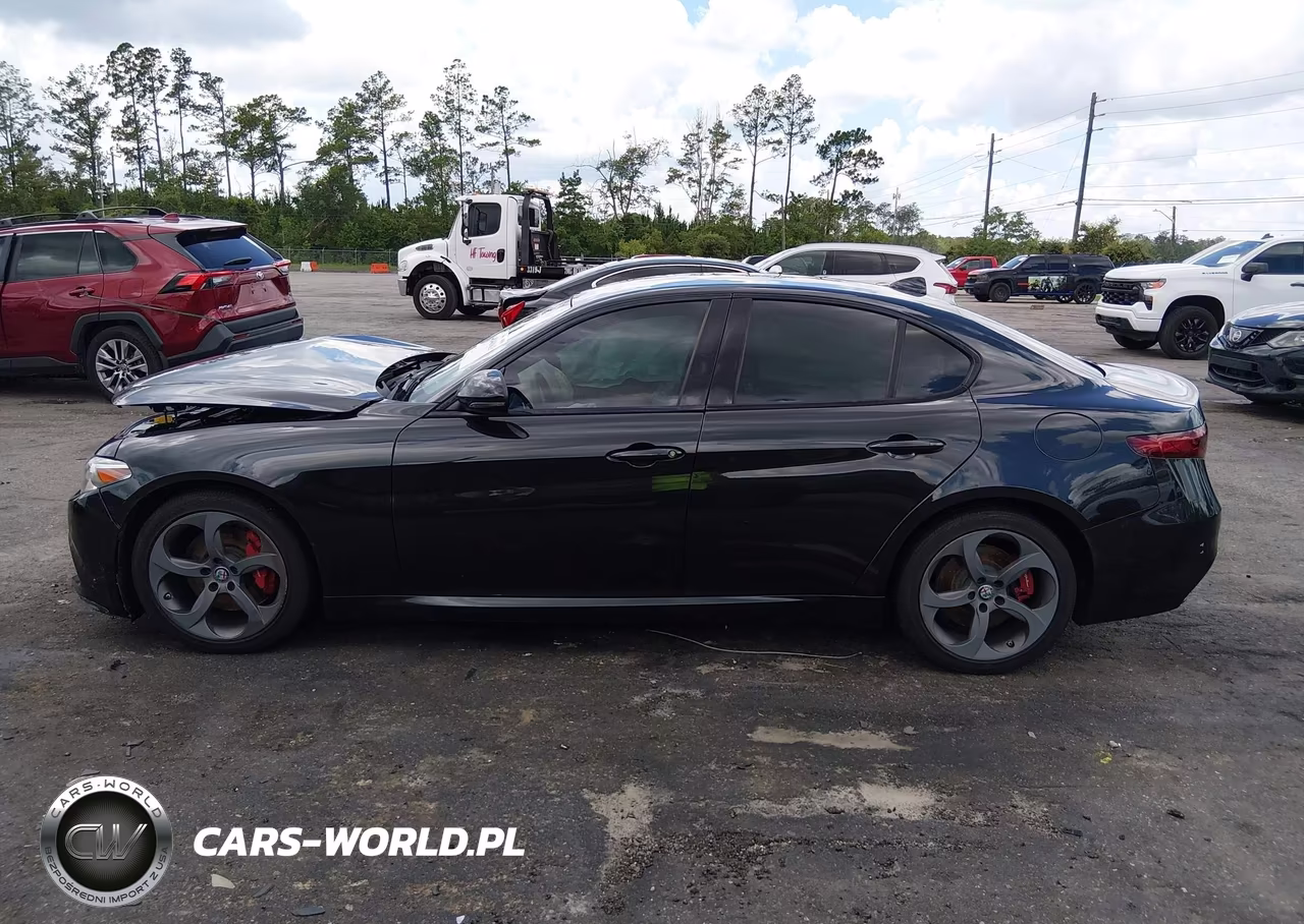 2017 Alfa Romeo Giulia Rwd VIN:ZARFAEBNXH7532197 - 14