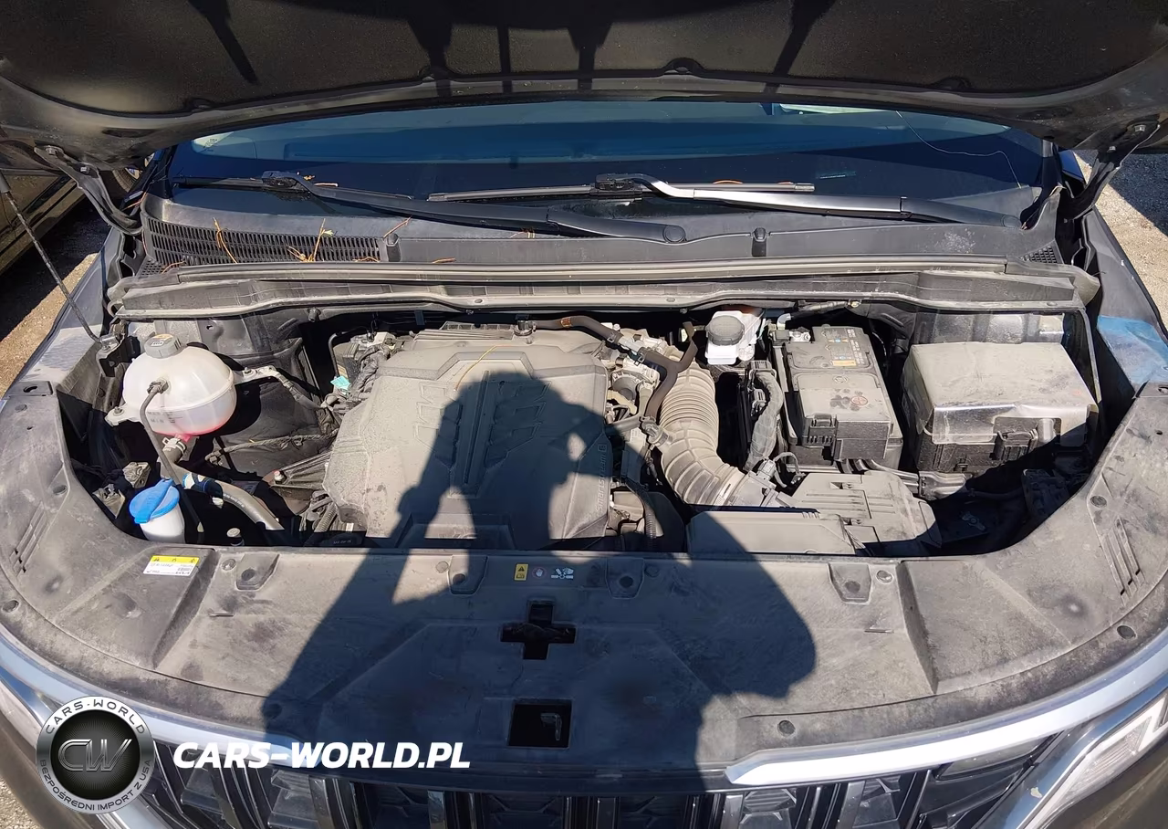 2024 Kia Carnival Mpv Lx Seat Package VIN:KNDNB4H3XR6433907 - 10