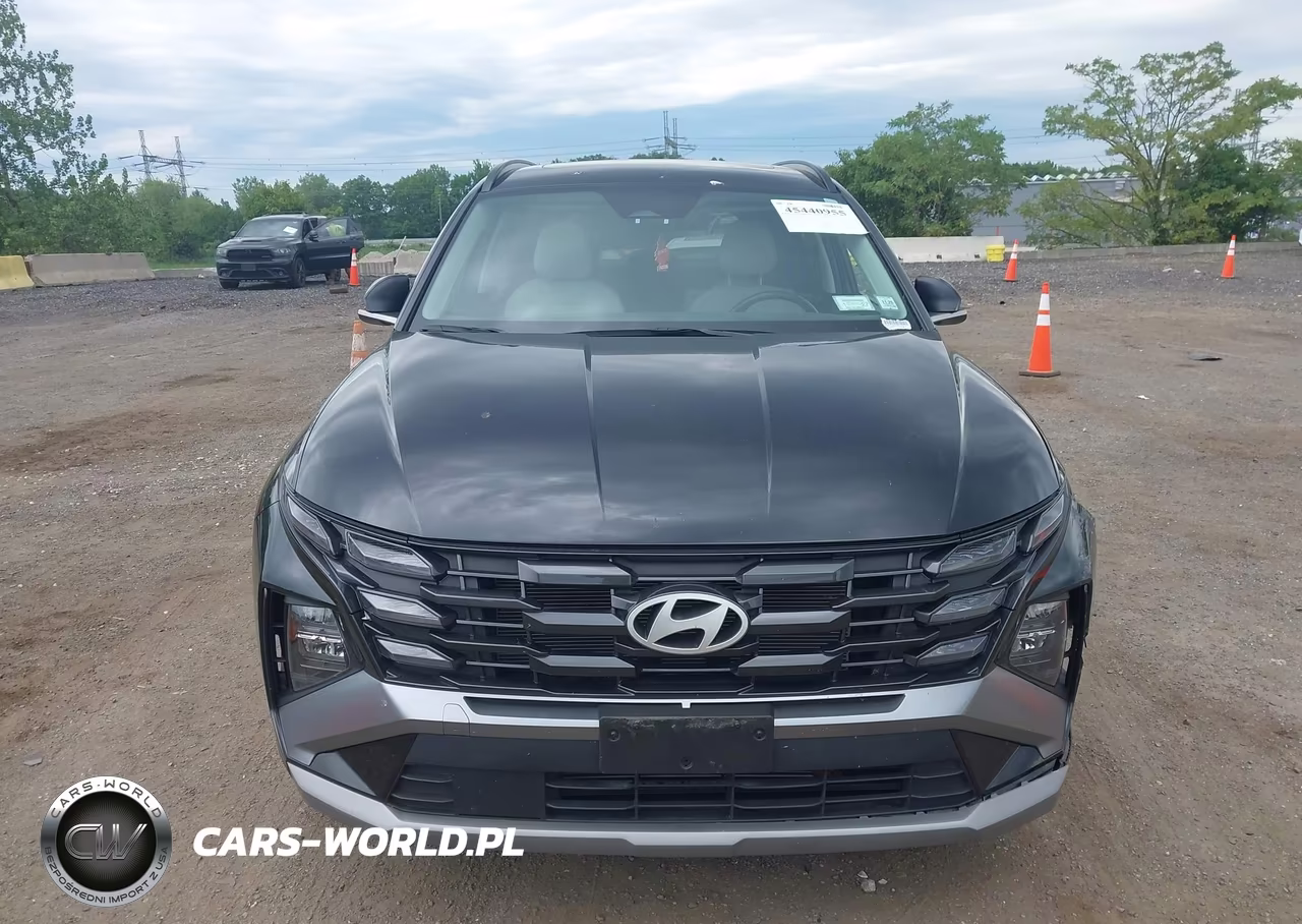 2025 Hyundai Tucson Sel Convenience VIN:3KMJCCDE6SE005231 - 12