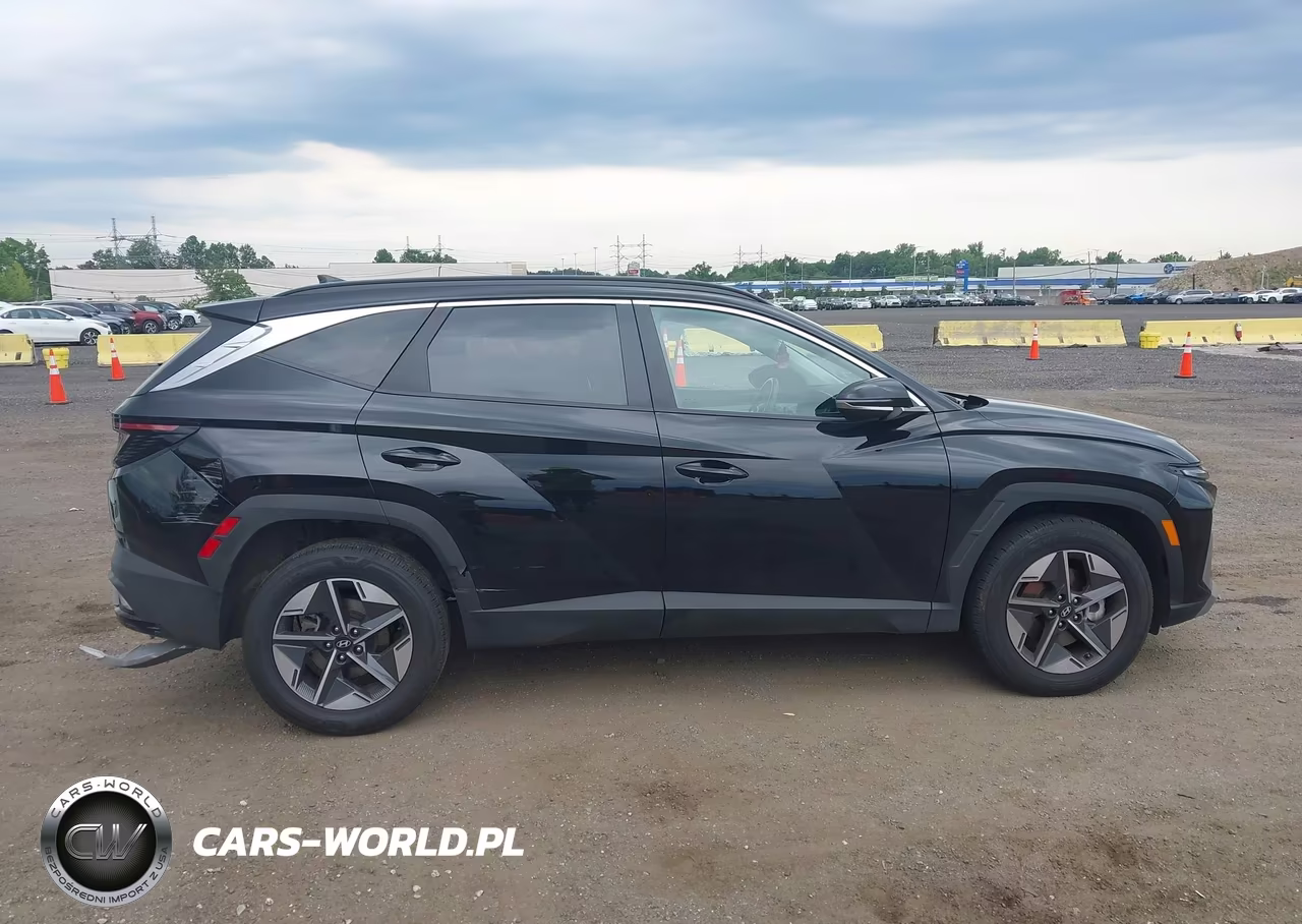 2025 Hyundai Tucson Sel Convenience VIN:3KMJCCDE6SE005231 - 13