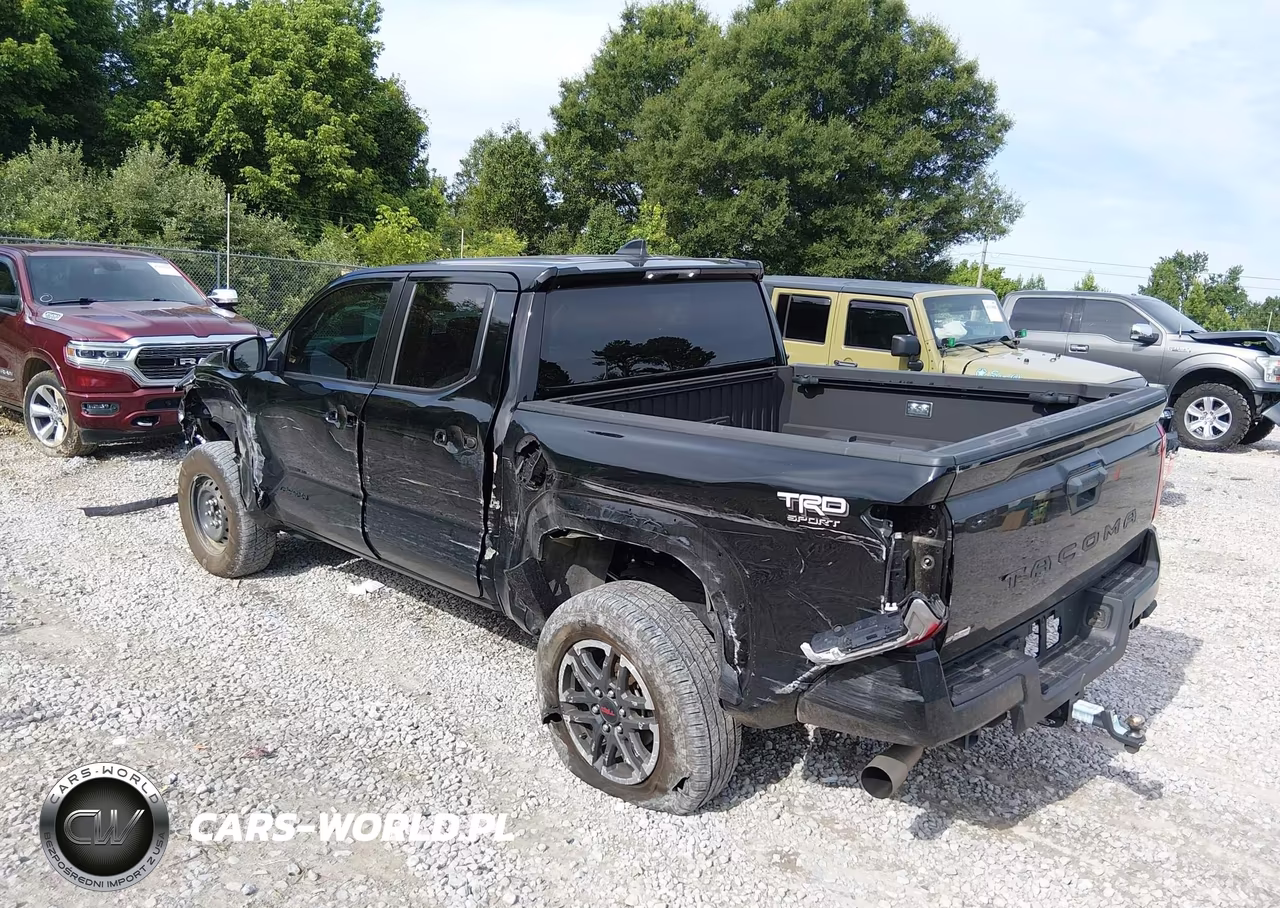 2024 Toyota Tacoma Trd Sport VIN:3TYKB5FN8RT010891 - 3