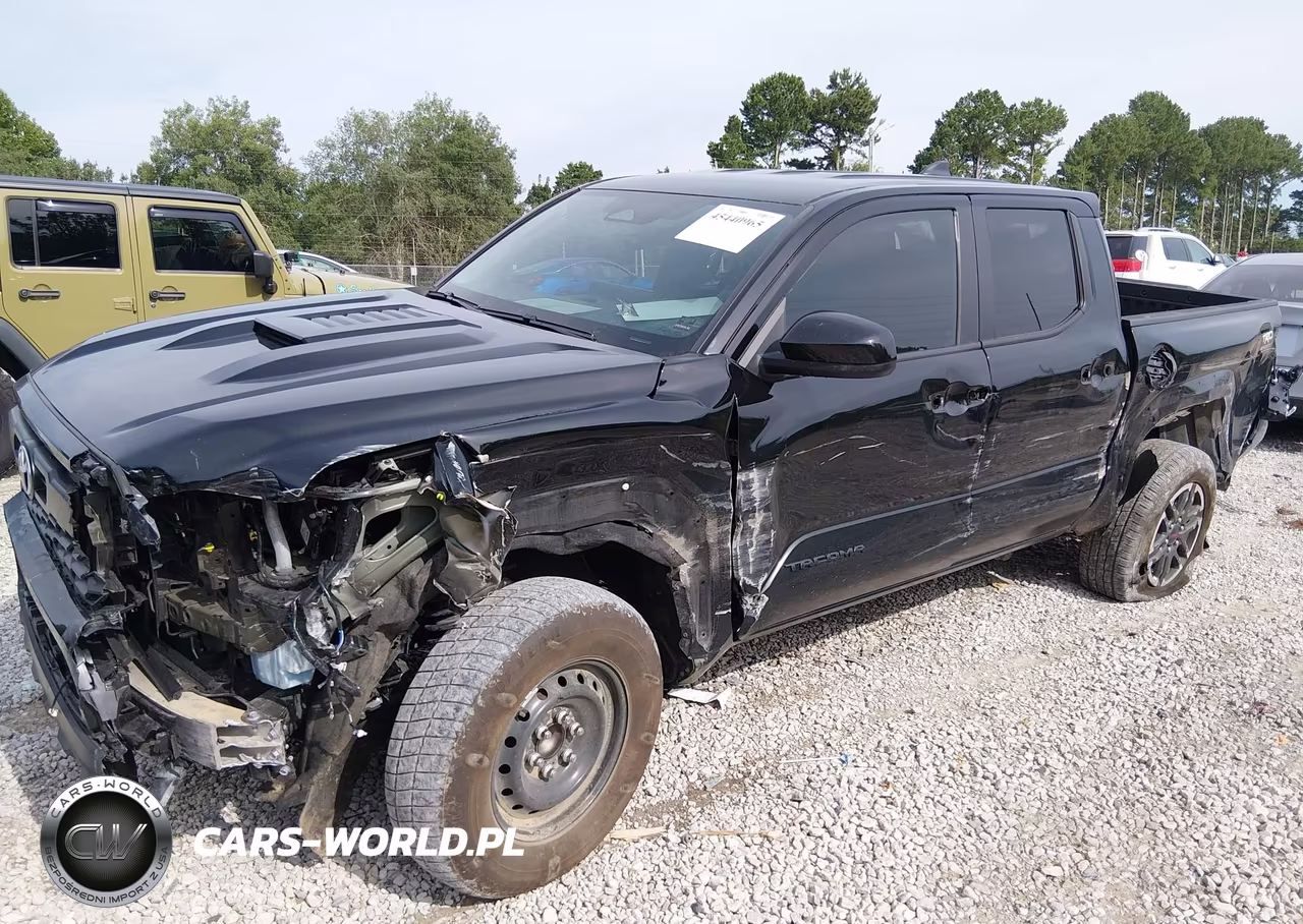 2024 Toyota Tacoma Trd Sport VIN:3TYKB5FN8RT010891 - 6