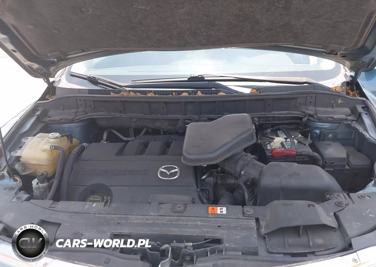 2015 Mazda Cx-9 Touring VIN:JM3TB2CA7F0448873 - 10