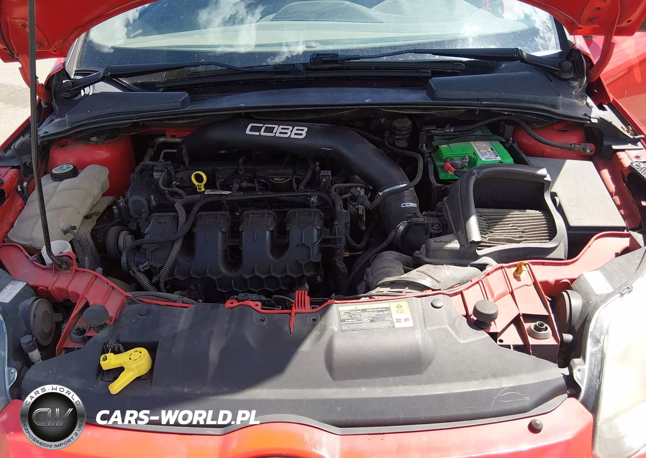 2013 Ford Focus St VIN:1FADP3L99DL231837 - 10