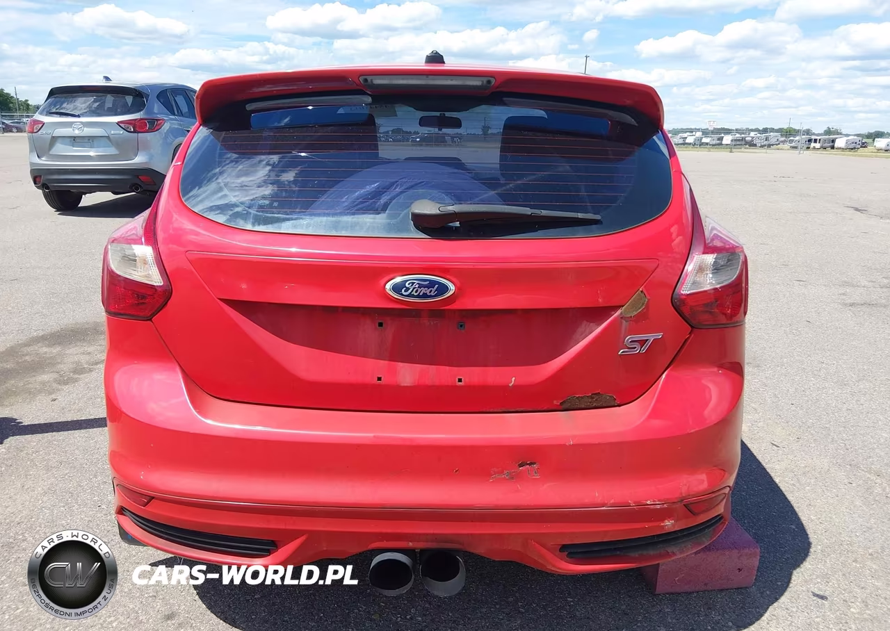 2013 Ford Focus St VIN:1FADP3L99DL231837 - 16
