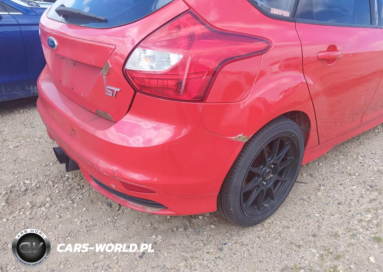 2013 Ford Focus St VIN:1FADP3L99DL231837 - 17