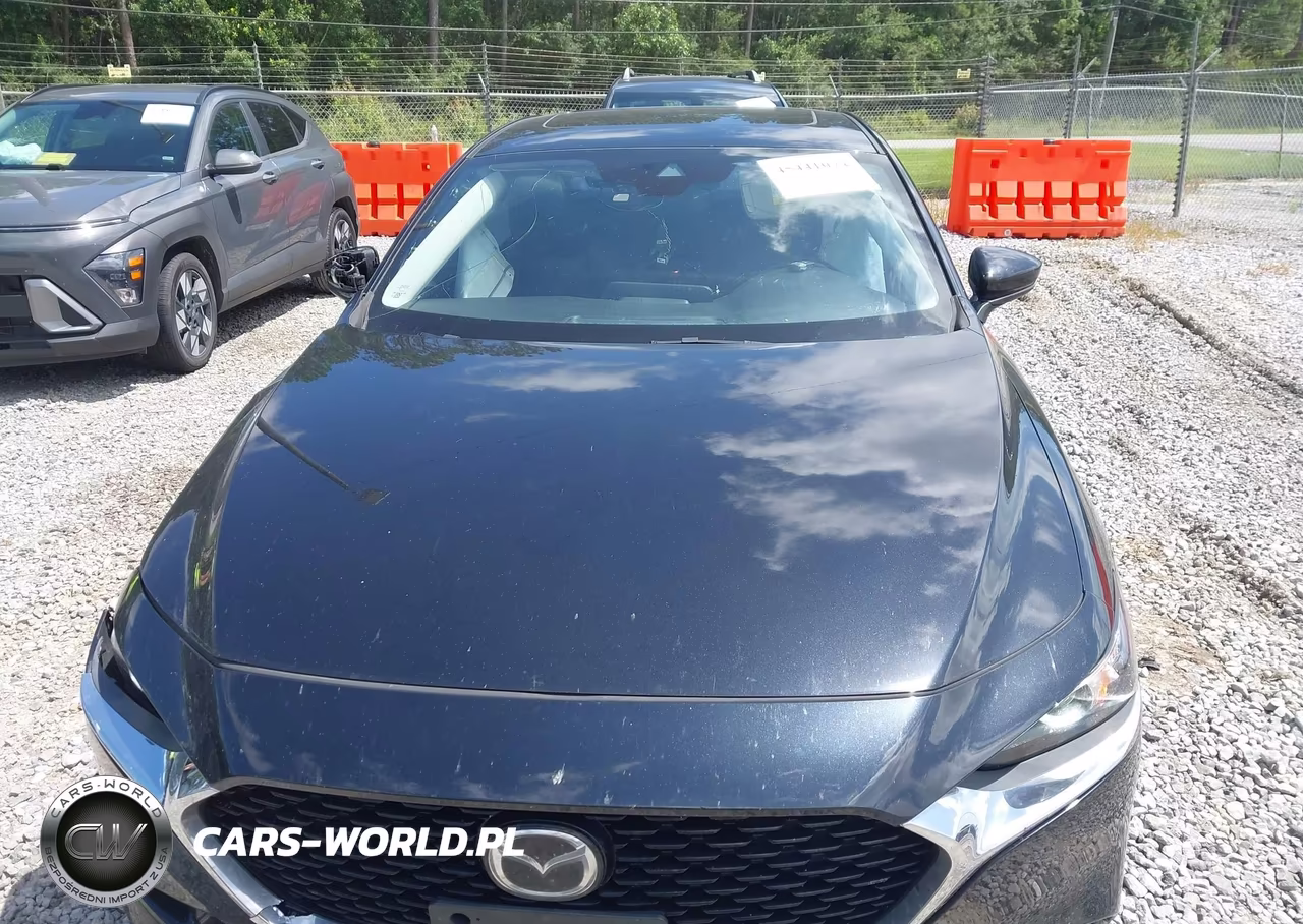 2021 Mazda Mazda3 Preferred VIN:JM1BPACL0M1317311 - 12