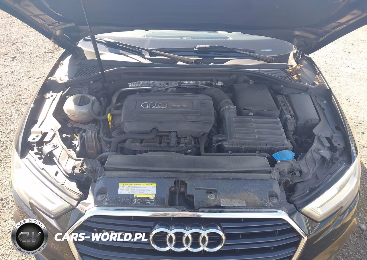 2017 Audi A3 Premium Plus VIN:WAUJ8GFF6H1034707 - 10