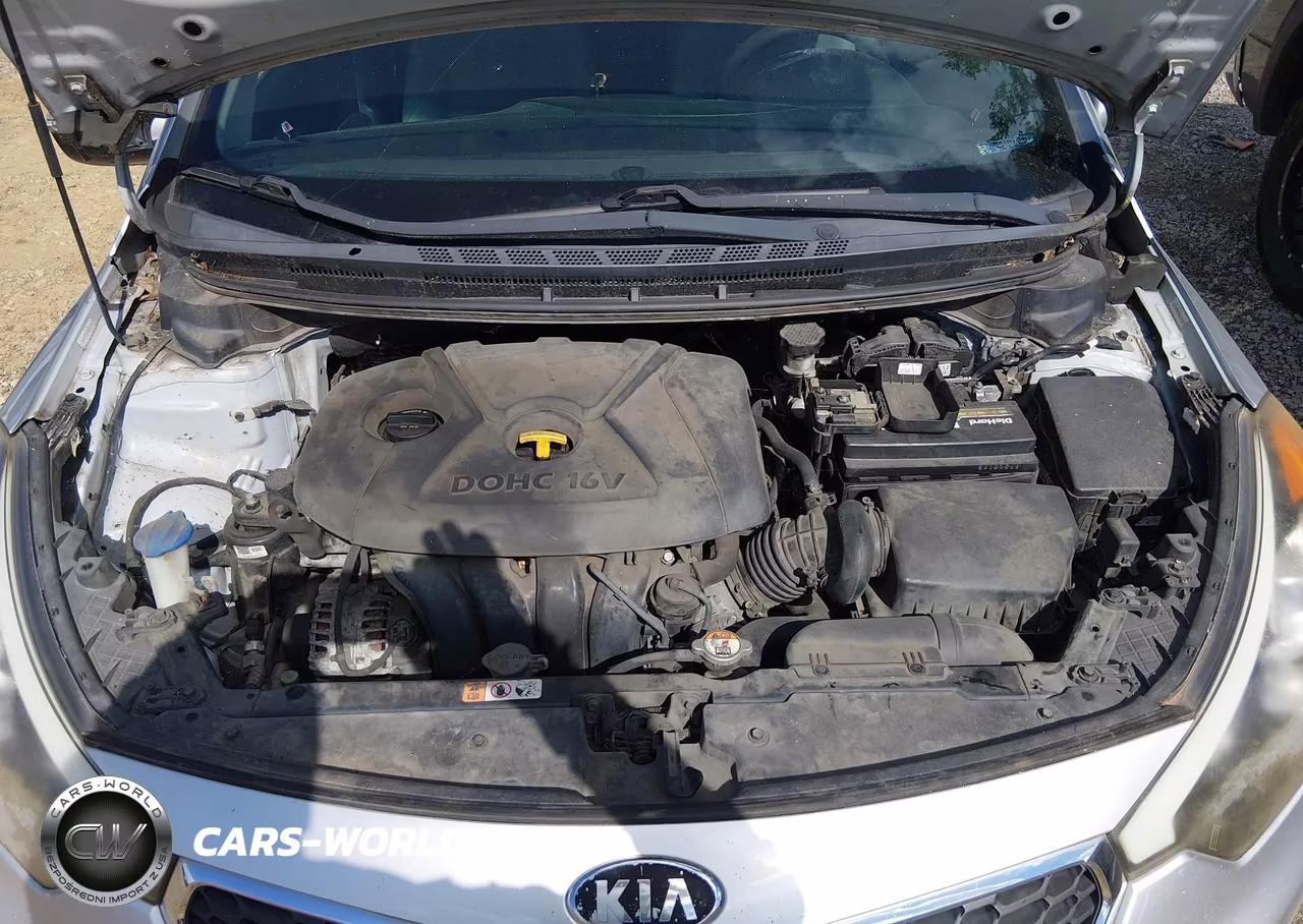 2014 Kia Forte Lx VIN:KNAFX4A68E5154396 - 10