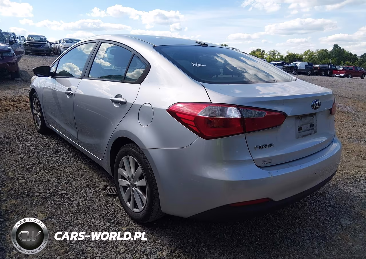 2014 Kia Forte Lx VIN:KNAFX4A68E5154396 - 3