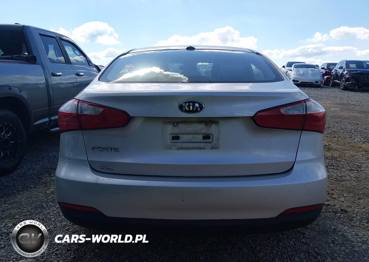 2014 Kia Forte Lx VIN:KNAFX4A68E5154396 - 6