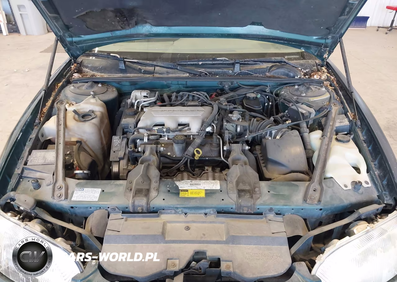 1997 Chevrolet Lumina Police-Taxi Pkgs Taxi W-P01 VIN:2G1WL52M8V1186163 - 10
