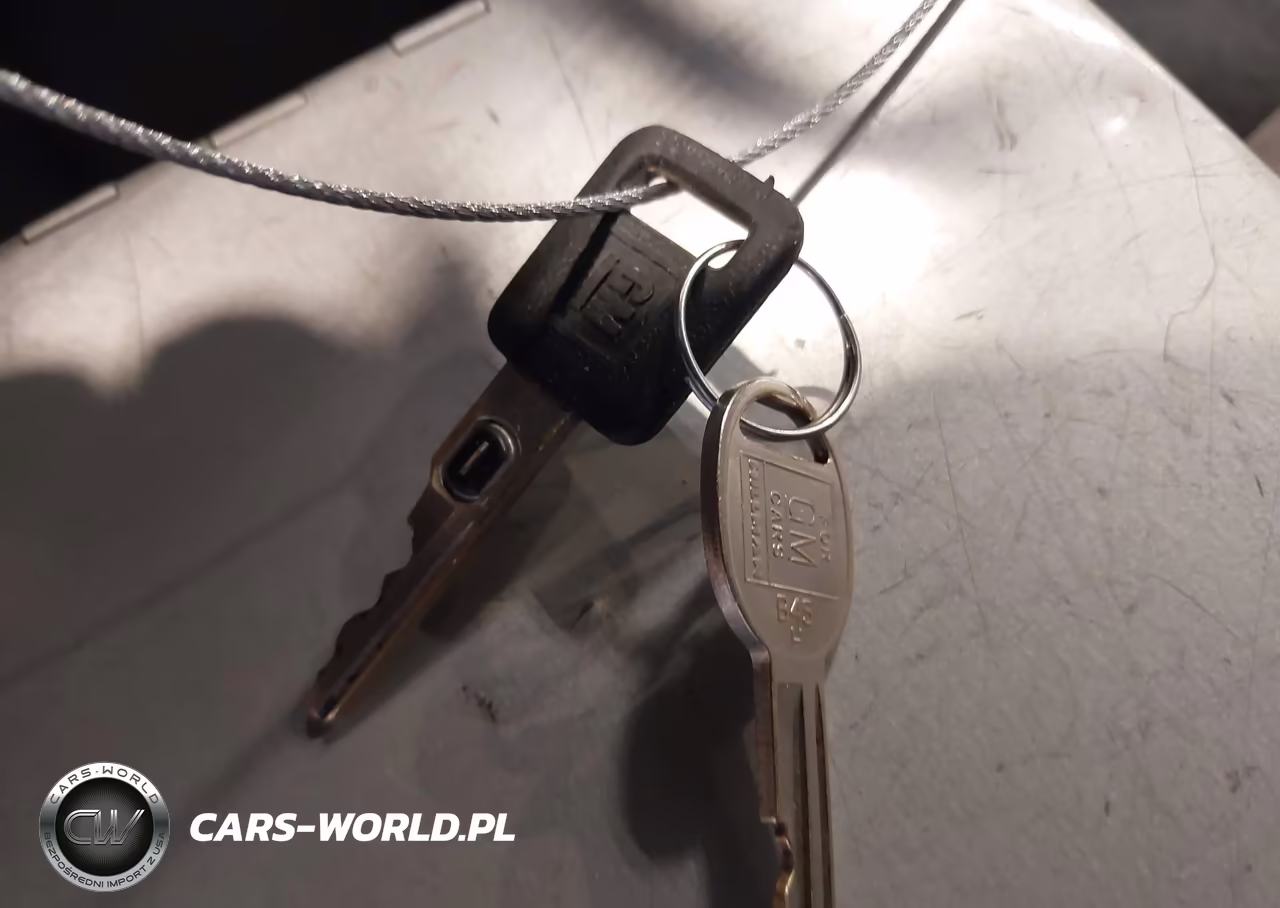 1997 Chevrolet Lumina Police-Taxi Pkgs Taxi W-P01 VIN:2G1WL52M8V1186163 - 11