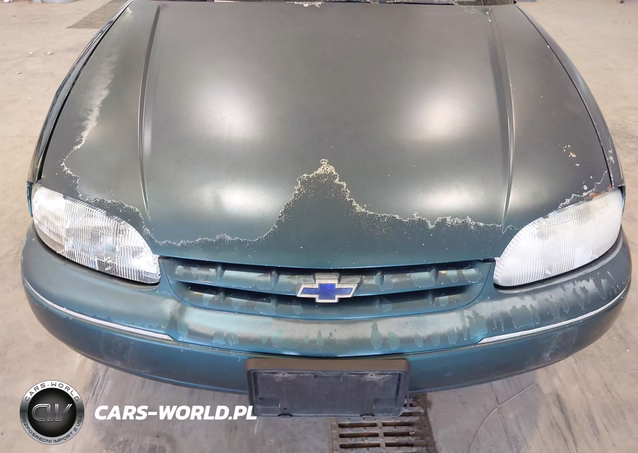1997 Chevrolet Lumina Police-Taxi Pkgs Taxi W-P01 VIN:2G1WL52M8V1186163 - 6