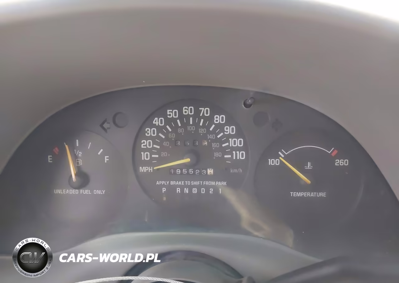 1997 Chevrolet Lumina Police-Taxi Pkgs Taxi W-P01 VIN:2G1WL52M8V1186163 - 7