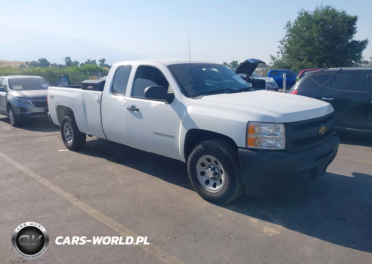 2010 Chevrolet Silverado 1500 Work Truck – zdjęcie 1 z 16