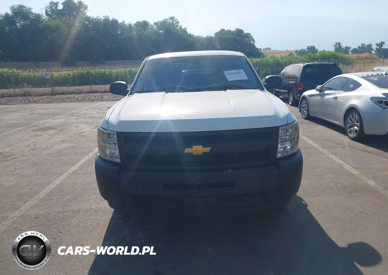 2010 Chevrolet Silverado 1500 Work Truck VIN:1GCSKPE05AZ250173 - 12