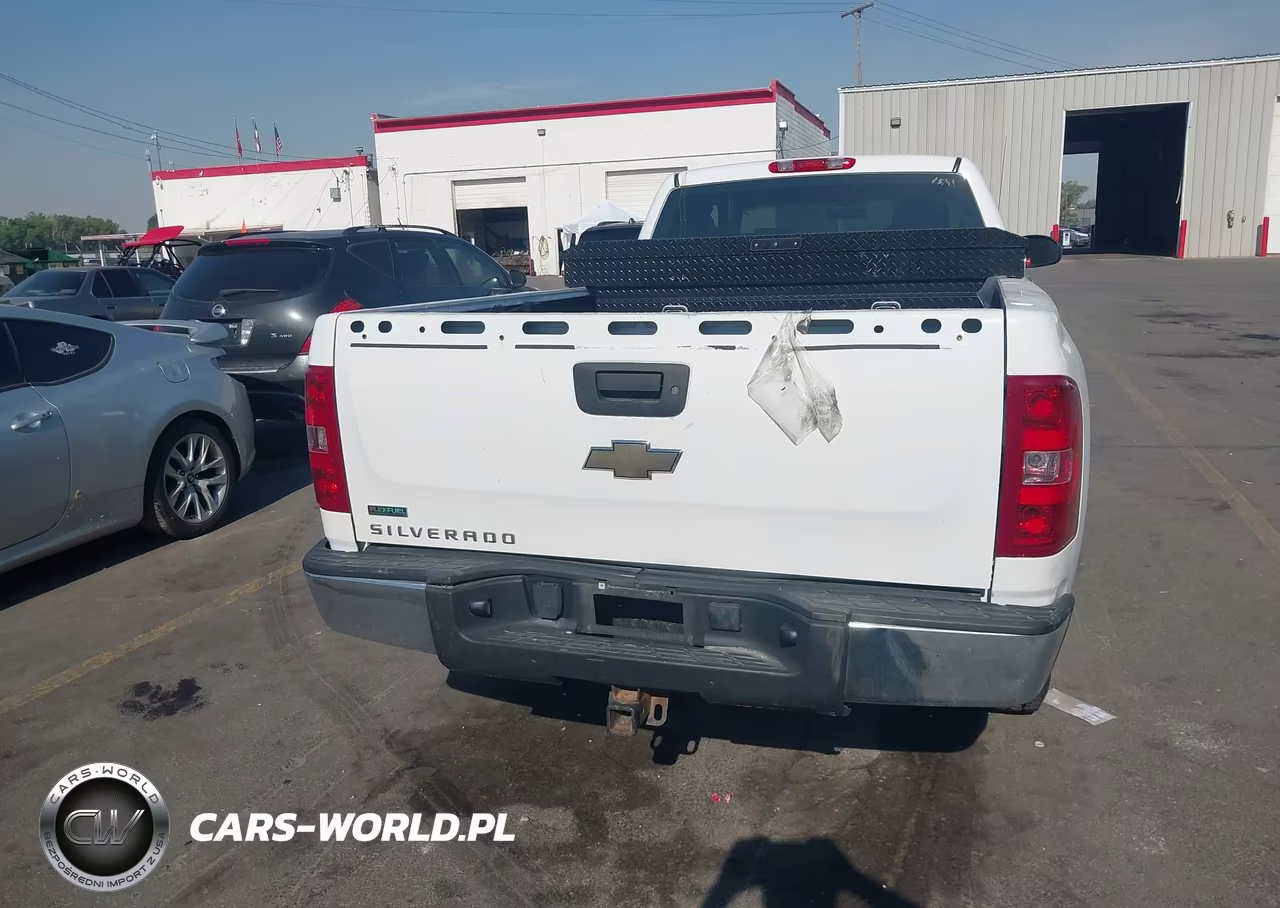 2010 Chevrolet Silverado 1500 Work Truck VIN:1GCSKPE05AZ250173 - 16
