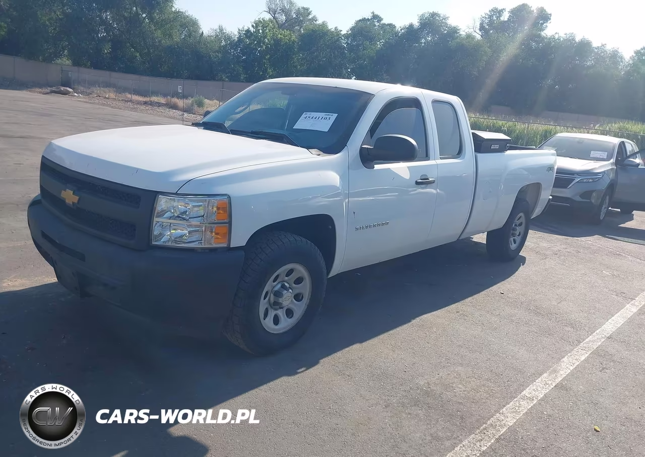 2010 Chevrolet Silverado 1500 Work Truck VIN:1GCSKPE05AZ250173 - 2