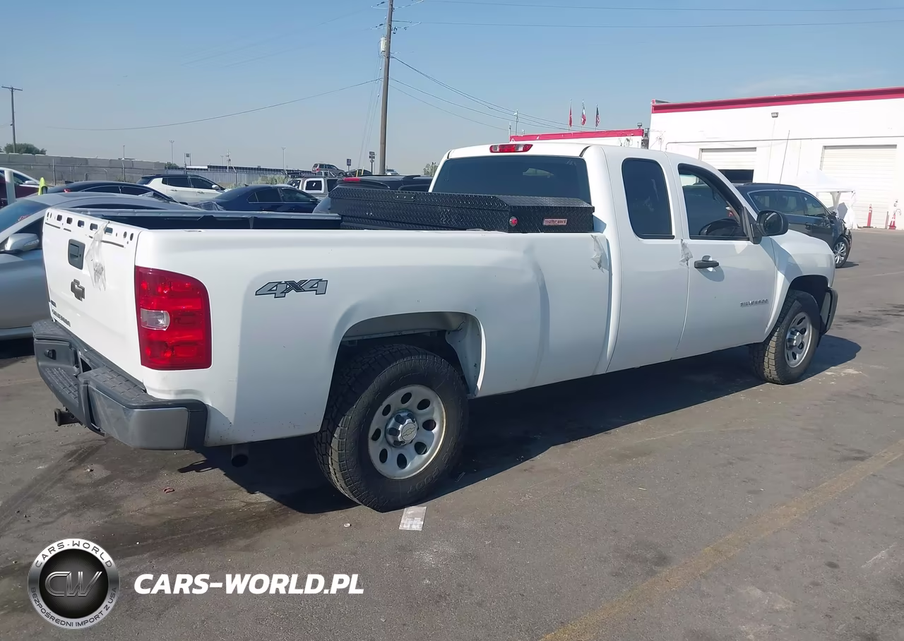 2010 Chevrolet Silverado 1500 Work Truck VIN:1GCSKPE05AZ250173 - 4