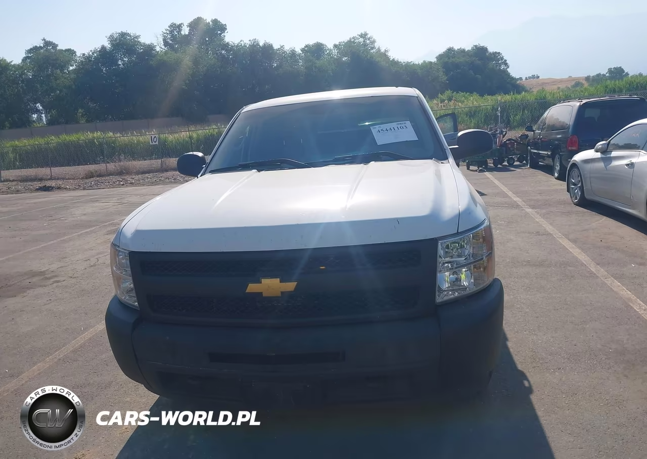2010 Chevrolet Silverado 1500 Work Truck VIN:1GCSKPE05AZ250173 - 6