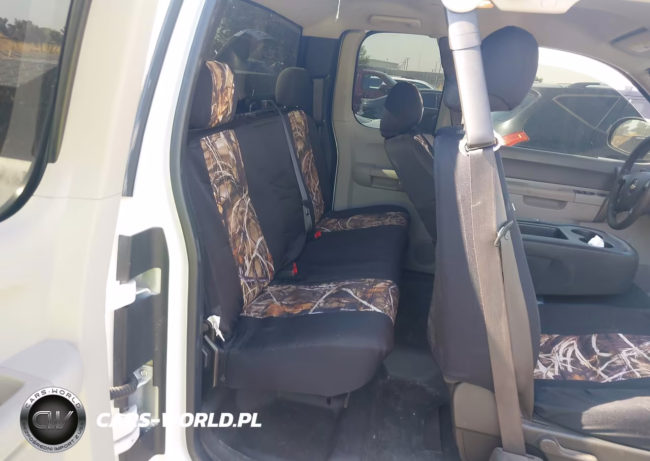 2010 Chevrolet Silverado 1500 Work Truck VIN:1GCSKPE05AZ250173 - 8