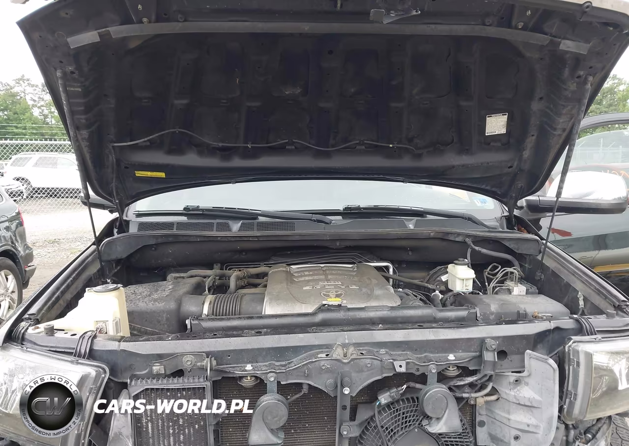 2010 Toyota Sequoia Limited 5.7L V8 VIN:5TDJW5G11AS026006 - 10
