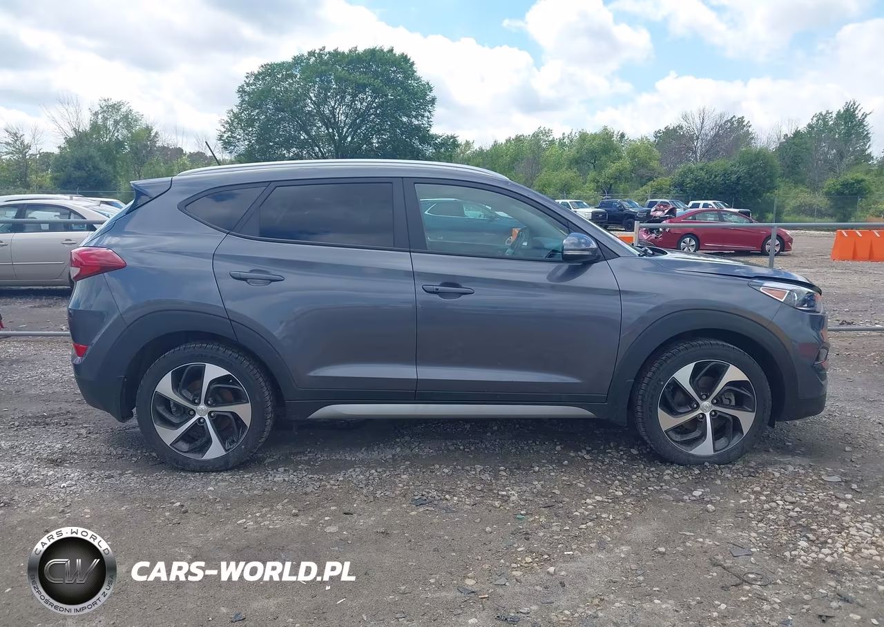 2017 Hyundai Tucson Sport VIN:KM8J3CA28HU293806 - 13