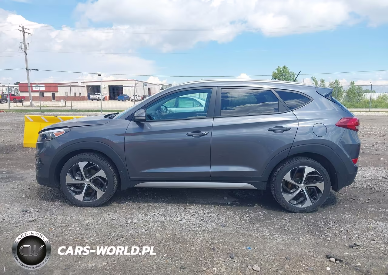 2017 Hyundai Tucson Sport VIN:KM8J3CA28HU293806 - 14