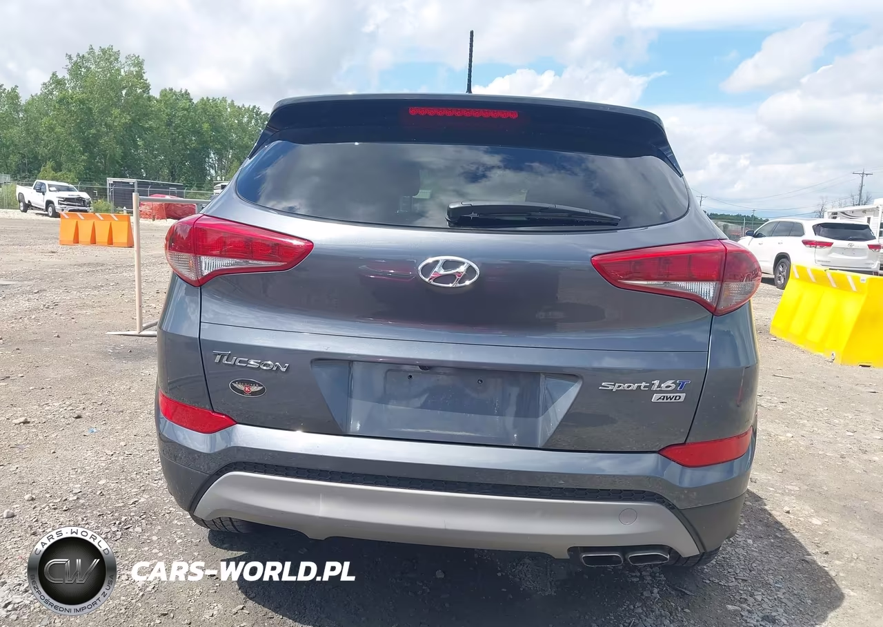 2017 Hyundai Tucson Sport VIN:KM8J3CA28HU293806 - 16