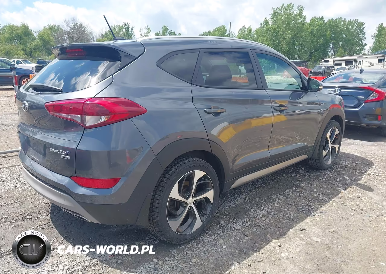 2017 Hyundai Tucson Sport VIN:KM8J3CA28HU293806 - 4