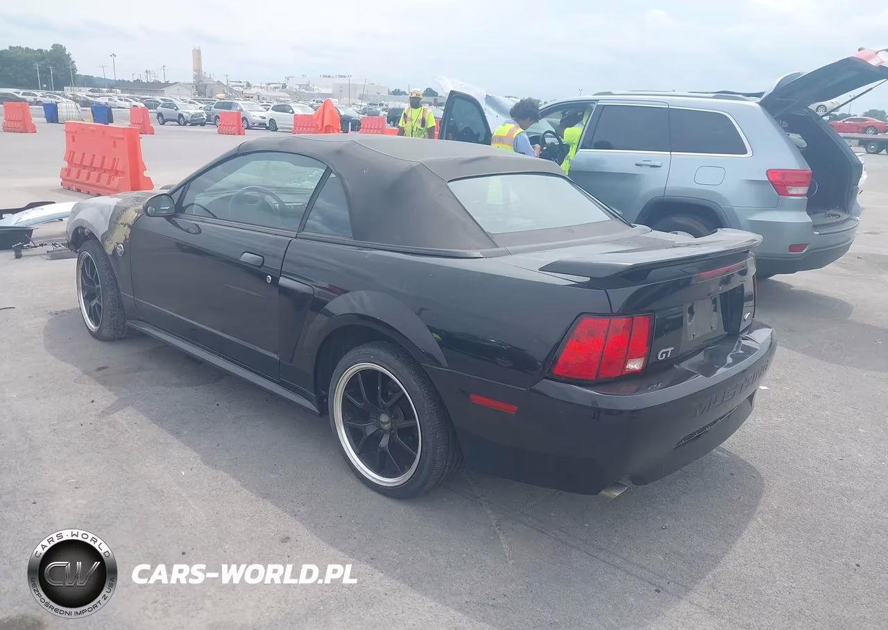 2004 Ford Mustang Gt VIN:1FAFP45X34F178741 - 2