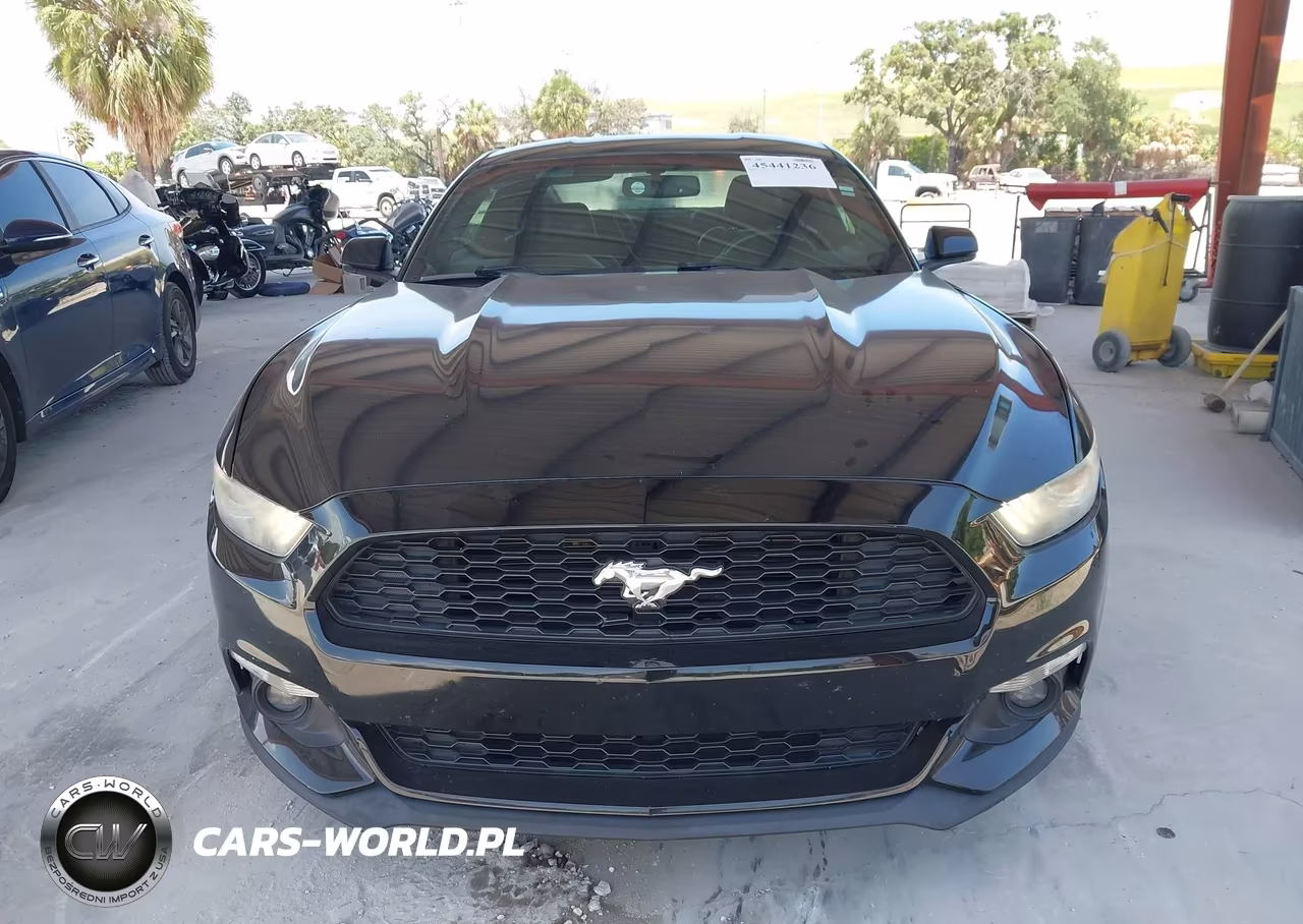 2016 Ford Mustang Ecoboost VIN:1FA6P8TH6G5255731 - 12