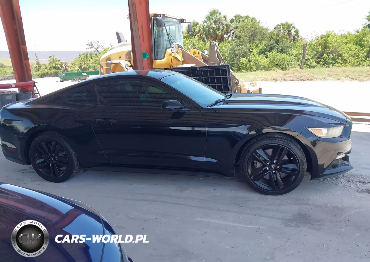 2016 Ford Mustang Ecoboost VIN:1FA6P8TH6G5255731 - 13