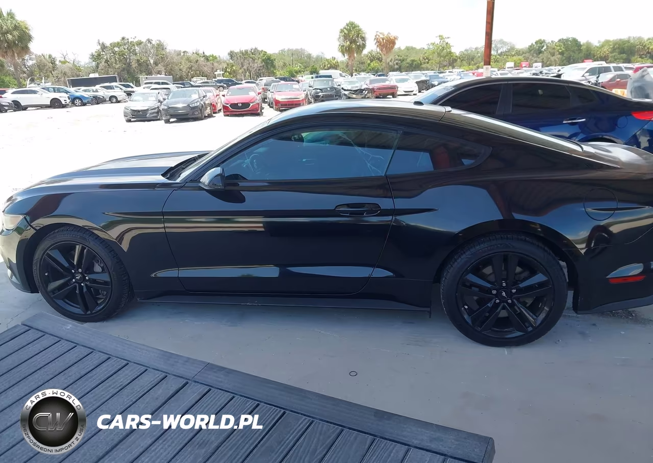 2016 Ford Mustang Ecoboost VIN:1FA6P8TH6G5255731 - 14