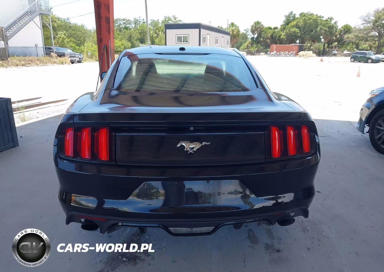 2016 Ford Mustang Ecoboost VIN:1FA6P8TH6G5255731 - 16