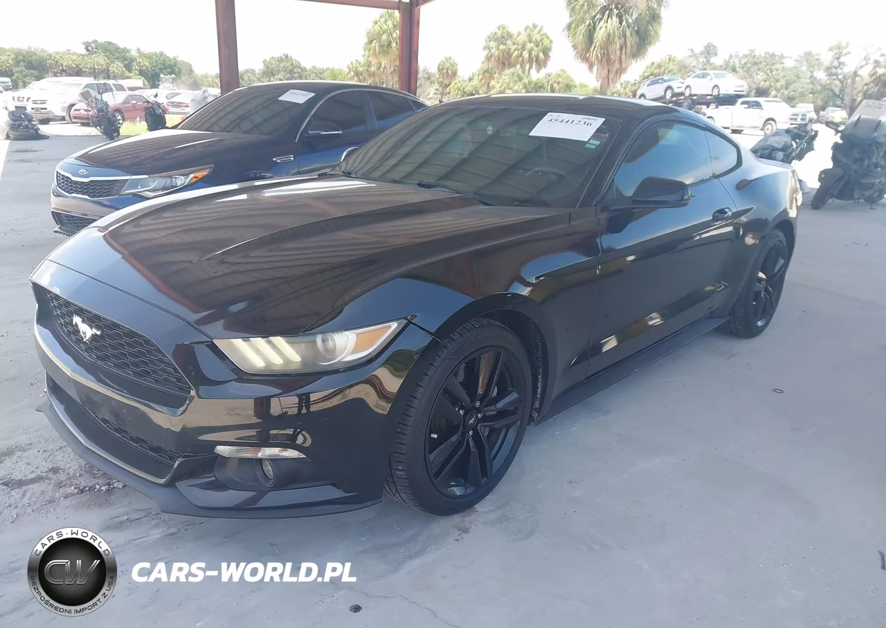 2016 Ford Mustang Ecoboost VIN:1FA6P8TH6G5255731 - 2