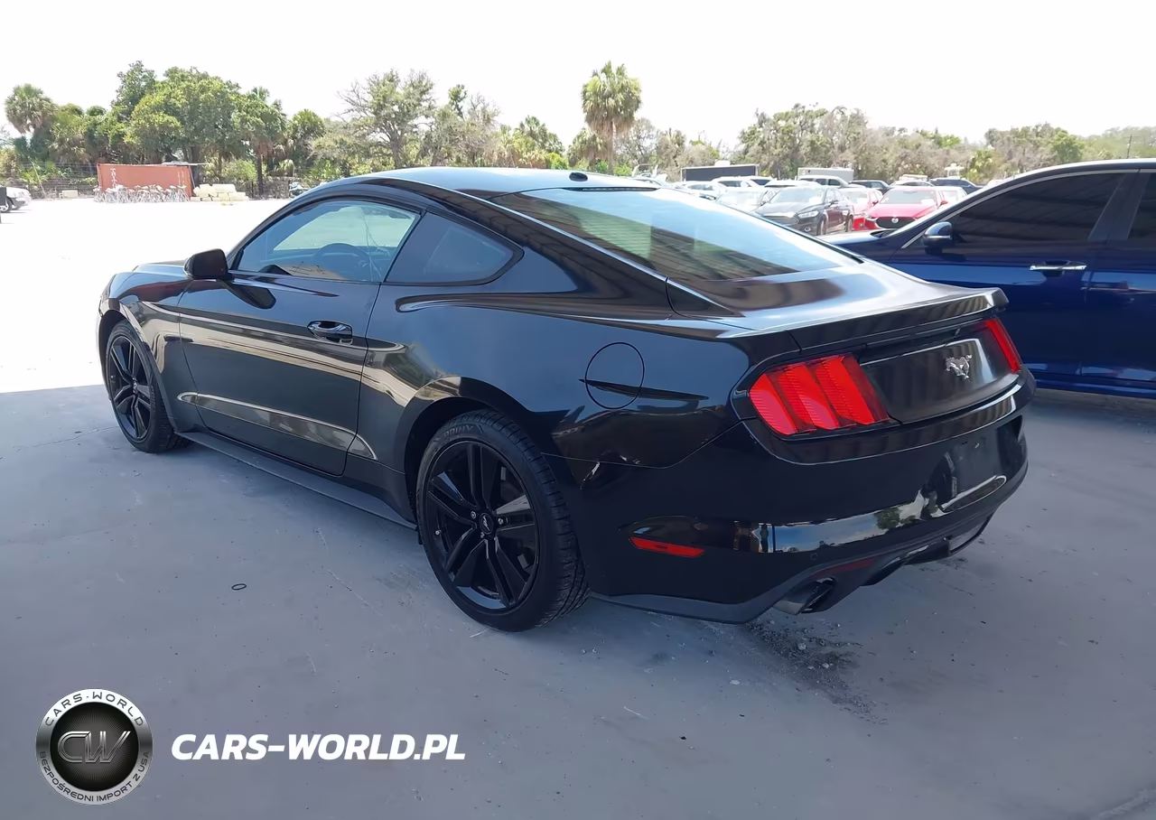 2016 Ford Mustang Ecoboost VIN:1FA6P8TH6G5255731 - 3