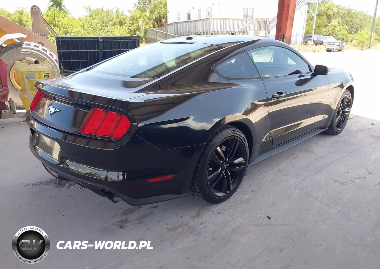 2016 Ford Mustang Ecoboost VIN:1FA6P8TH6G5255731 - 4