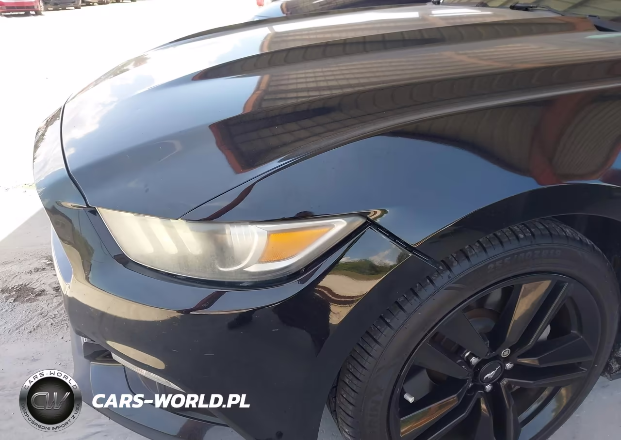 2016 Ford Mustang Ecoboost VIN:1FA6P8TH6G5255731 - 6