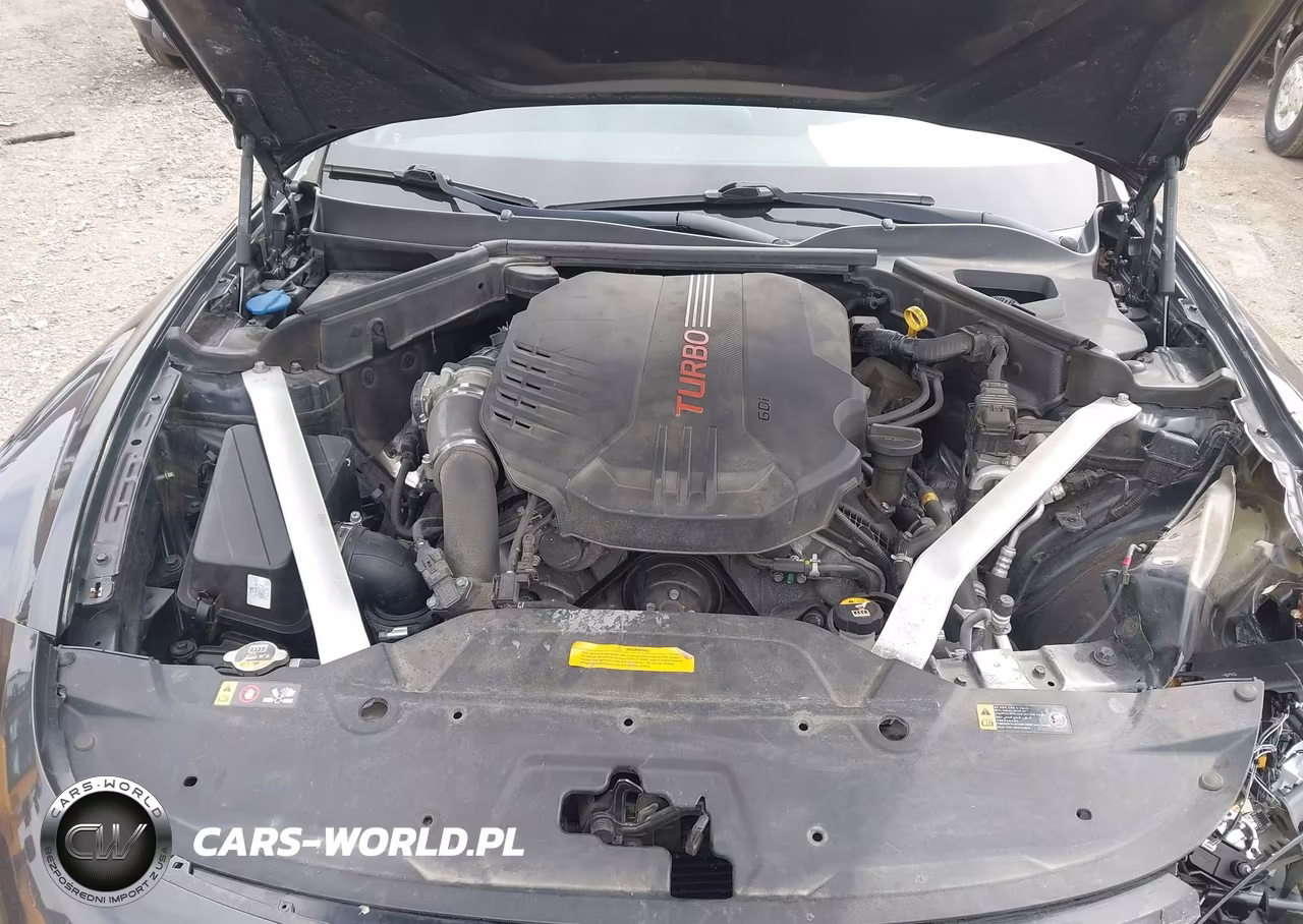 2019 Kia Stinger Gt VIN:KNAE35LC6K6057817 - 10
