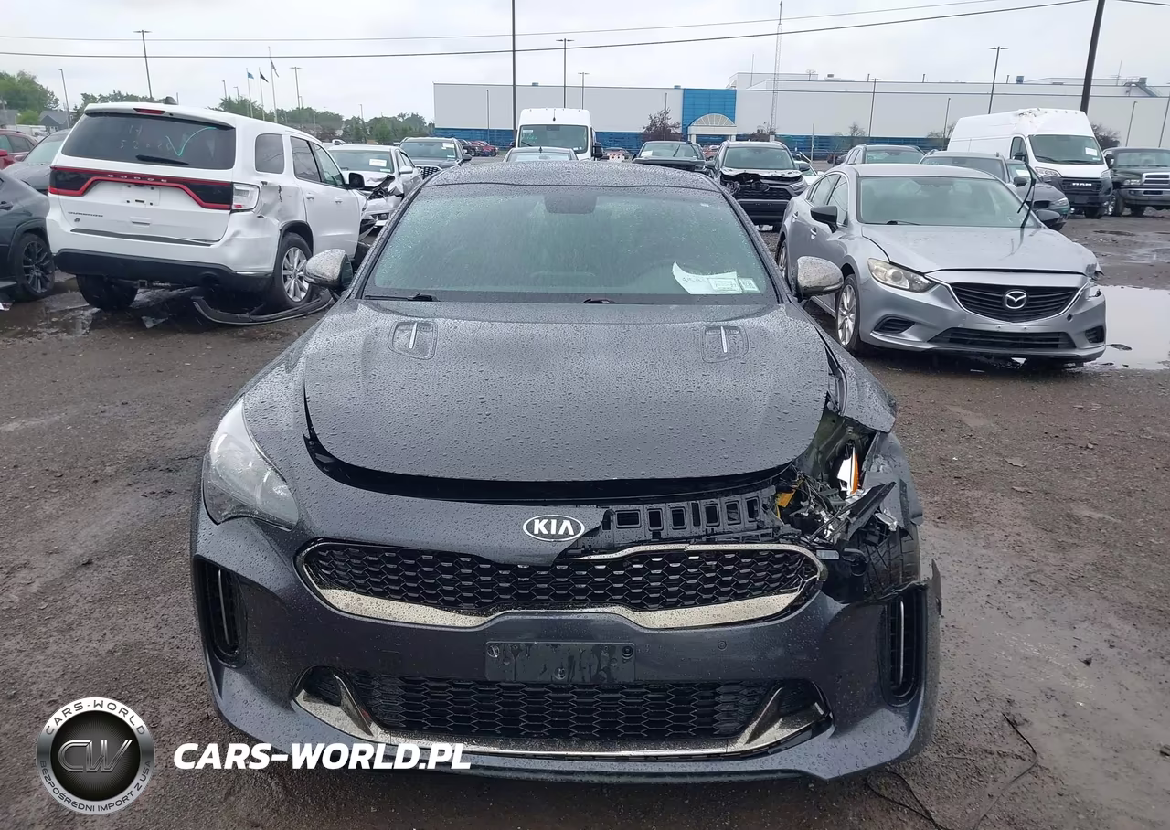 2019 Kia Stinger Gt VIN:KNAE35LC6K6057817 - 12