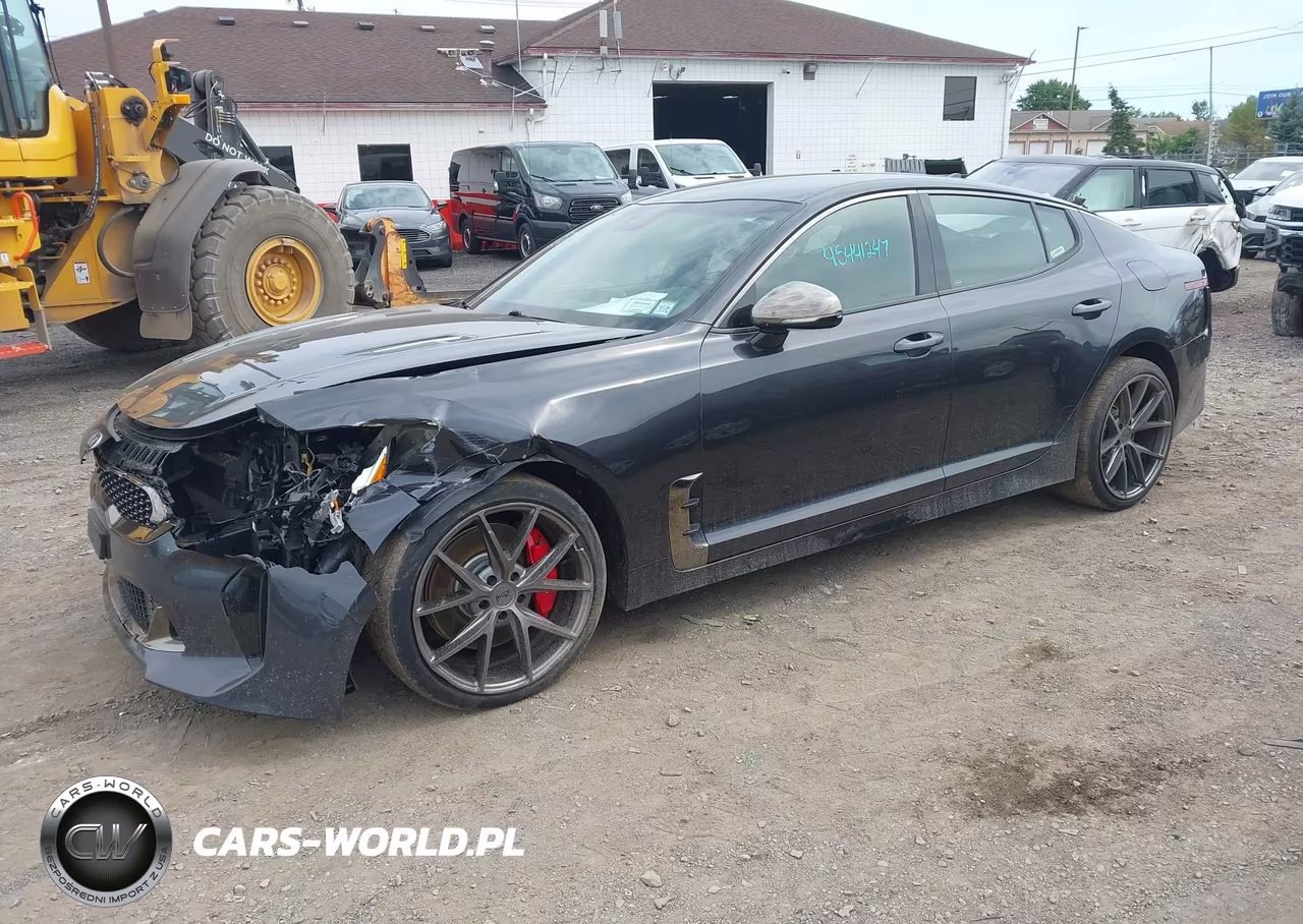 2019 Kia Stinger Gt VIN:KNAE35LC6K6057817 - 2