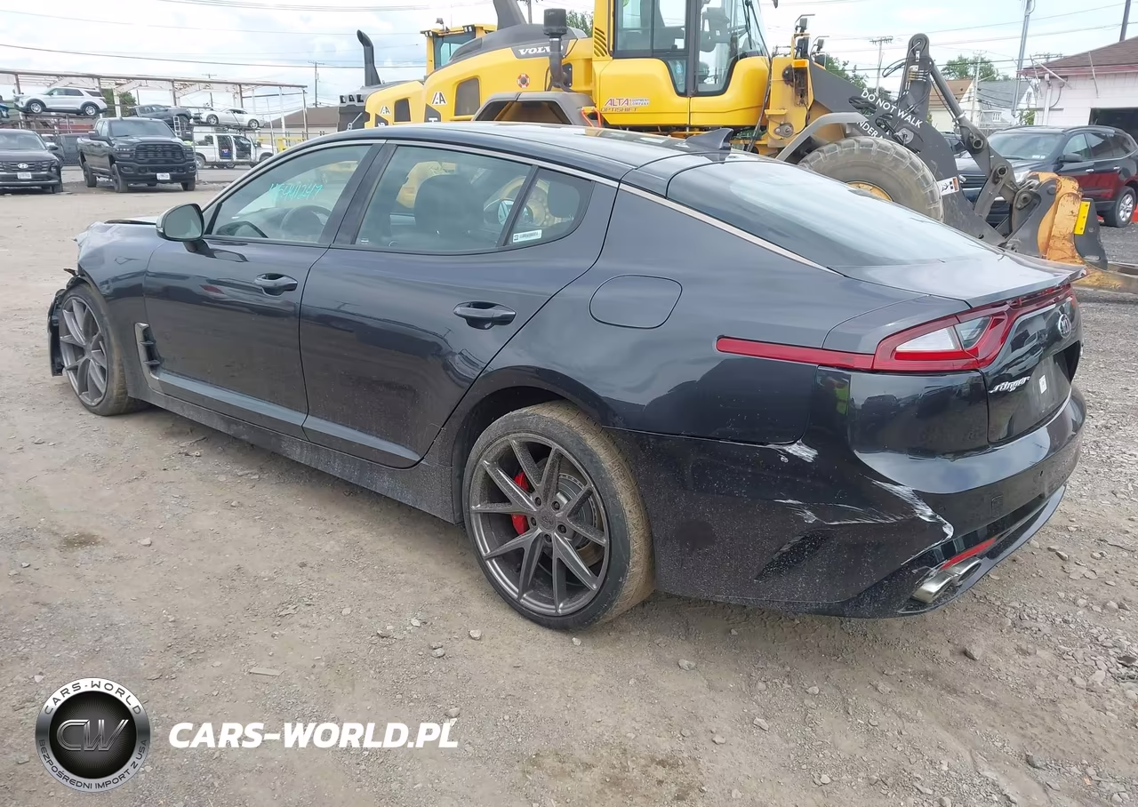 2019 Kia Stinger Gt VIN:KNAE35LC6K6057817 - 3