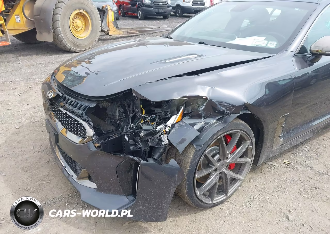 2019 Kia Stinger Gt VIN:KNAE35LC6K6057817 - 6