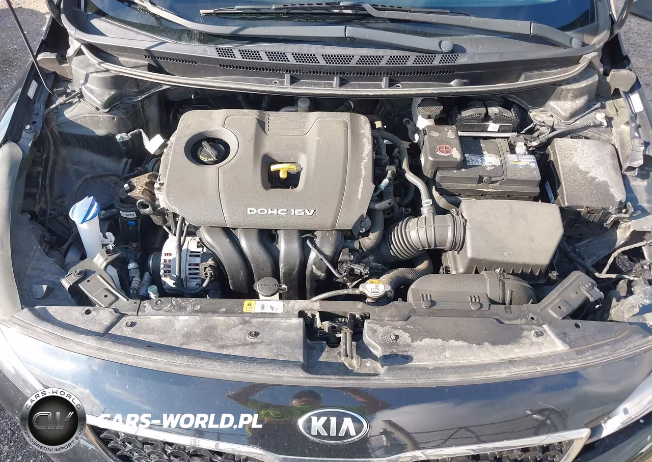 2017 Kia Forte S VIN:3KPFL4A71HE041776 - 10