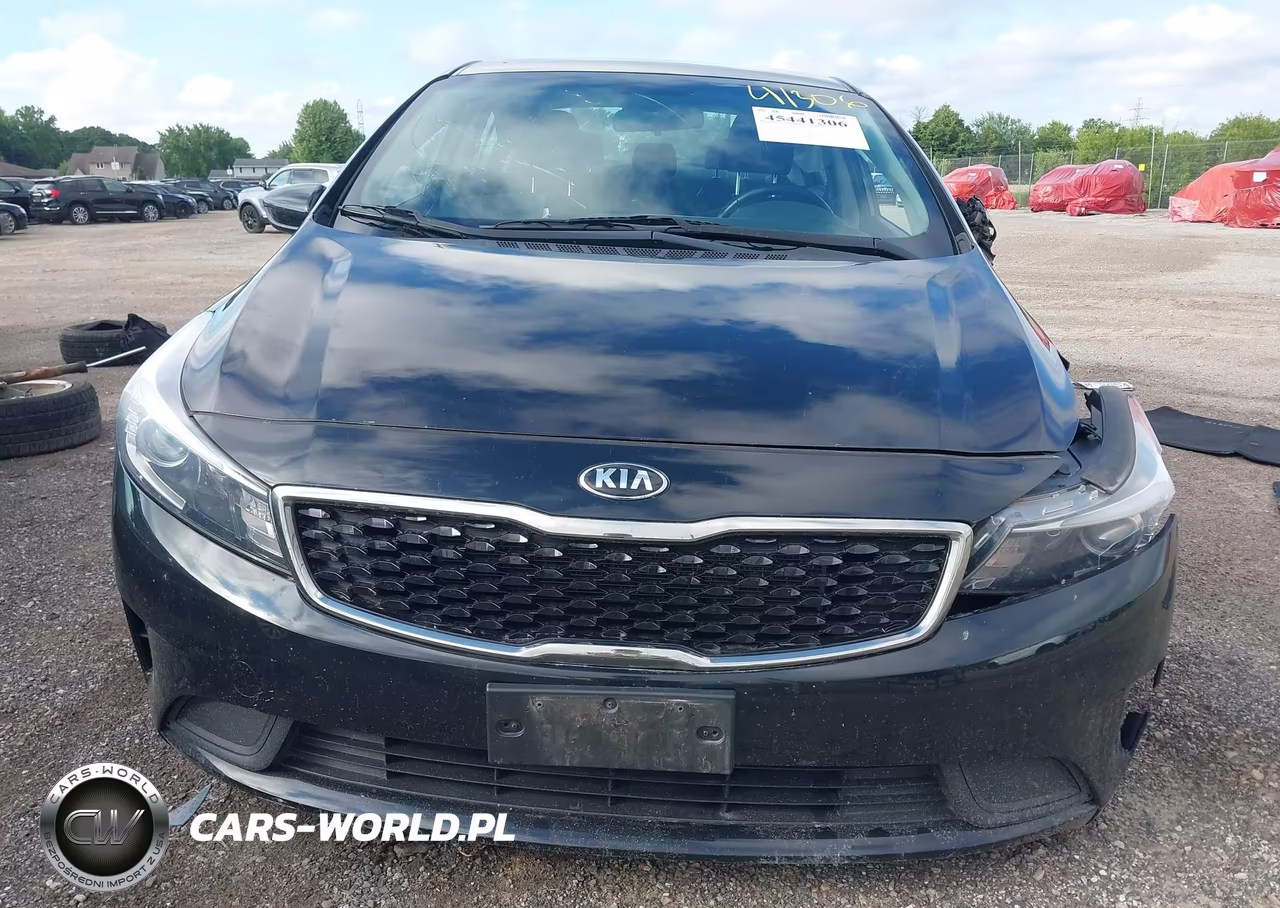 2017 Kia Forte S VIN:3KPFL4A71HE041776 - 13
